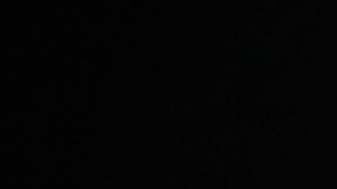 Rosalía se encuentra en medio de la promoción de su nuevo álbum 'Lux'.