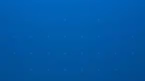 La sentencia está programada para el próximo 5 de diciembre.