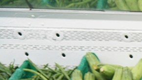 Trump ordena a los estados revertir pagos completos del SNAP y genera confusión