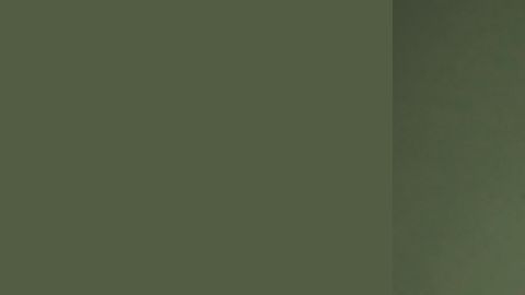 El vaso frío Bearista de Starbucks cautivó a los fanáticos por su diseño encantador, ya que tiene la forma tridimensional de un oso.