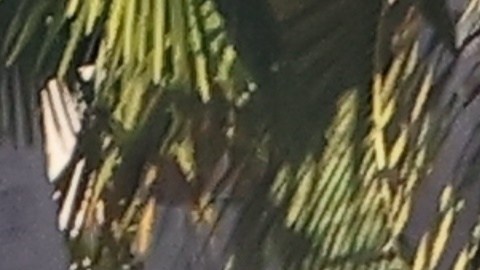 Sydney Sweeney y Scooter Braun comenzaron su relación hace poco.