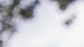 T-Mobile tiene planes de telefonía excelentes para la familia.