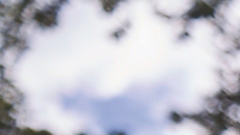 T-Mobile tiene planes de telefonía excelentes para la familia.