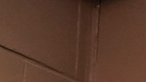 Taylor Swift y Travis Kelce han sido reservados con los detalles de su boda.