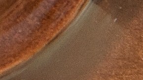 Costco tiene una variedad de postres para Acción de Gracias, que incluye los clásicos y nuevos sabores.