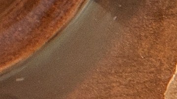 Costco tiene una variedad de postres para Acción de Gracias, que incluye los clásicos y nuevos sabores.