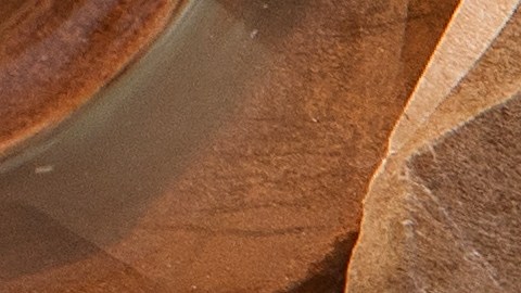 Costco tiene una variedad de postres para Acción de Gracias, que incluye los clásicos y nuevos sabores.