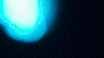 Tom Petty murió el 2 de octubre de 2017.