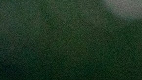 Congresista republicano Troy Nehls, aliado de Trump, no buscará la reelección