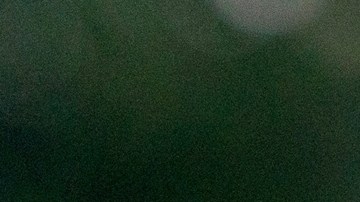 Congresista republicano Troy Nehls, aliado de Trump, no buscará la reelección