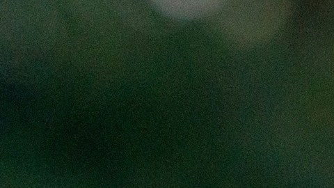 Congresista republicano Troy Nehls, aliado de Trump, no buscará la reelección