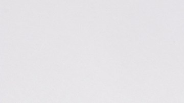 EE.UU. suspende todas las decisiones de asilo tras la orden de Trump de frenar la migración del “tercer mundo”