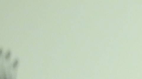 Whoopi Goldberg ha sido parte de ‘The View’ durante 18 temporadas.