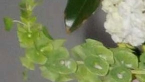 Yadhira Carrillo y Juan Collado en el año 2012.