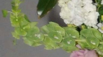 Yadhira Carrillo y Juan Collado en el año 2012.