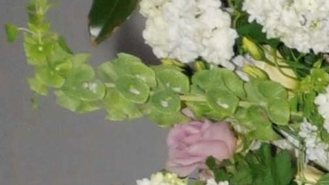 Yadhira Carrillo y Juan Collado en el año 2012.