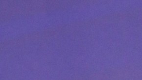 Yailin La Más Viral, cantante dominicana.