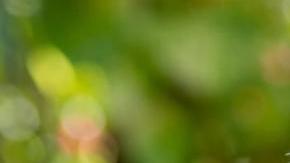 Combo de fotografías cedidas por las campañas que muestra a la demócrata Eileen Higgins (i) y al republicano Emilio González (d).