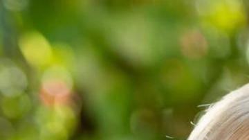 Combo de fotografías cedidas por las campañas que muestra a la demócrata Eileen Higgins (i) y al republicano Emilio González (d).