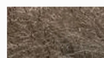 Rescate de auto con cadáver en el condado  Otsego de Nueva York.