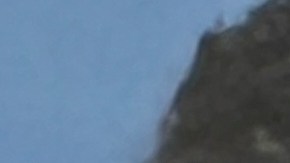 Afgano acusado del tiroteo en Washington mostró señales de inestabilidad desde hace años