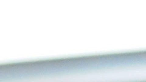 Durante la sesión se fijó un plazo de dos meses para la investigación complementaria.