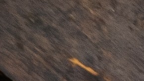 El atún enlatado es un alimento no perecedero que aporta las proteínas básicas en caso extremos.