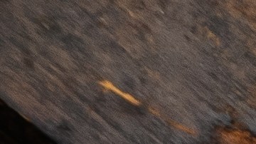 El atún enlatado es un alimento no perecedero que aporta las proteínas básicas en caso extremos.