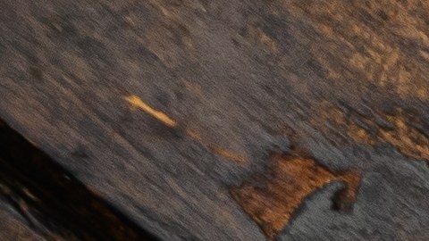 El atún enlatado es un alimento no perecedero que aporta las proteínas básicas en caso extremos.