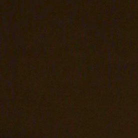 Tras 14 años juntos y dos hijos en común, la pareja pone fin a una etapa significativa de sus vidas.