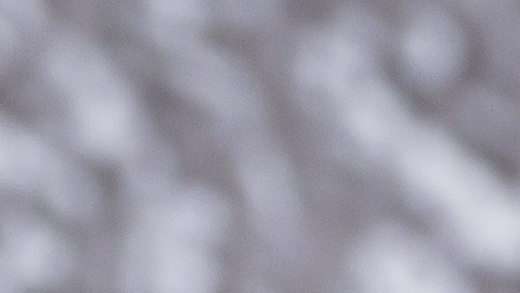 Lejos de ser obsoletas, las antiguas monedas estadounidenses pueden representar una joya para las subastas.