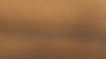 Los arándanos son de las frutas con mayor cantidad de antioxidantes que aportan importantes beneficios para la salud.