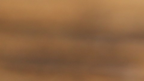 Los arándanos son de las frutas con mayor cantidad de antioxidantes que aportan importantes beneficios para la salud.