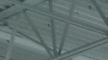 Hasta ahora no había sido muy popular el interés por comprar armas en NY.