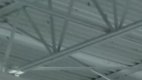 Hasta ahora no había sido muy popular el interés por comprar armas en NY.