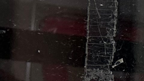 beneficiarios-snap-50-por-ciento-pagos