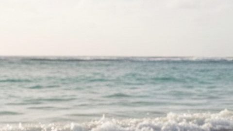 Las bolsas de plástico biodegradables no son tan "limpias" como pueda parecer.