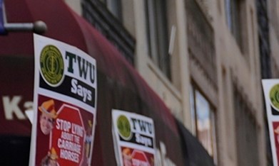 Sindicato de cocheros de Central Park demanda a defensores de animales por “difamación”