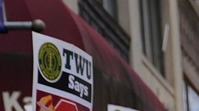 Sindicato de cocheros de Central Park demanda a defensores de animales por “difamación”