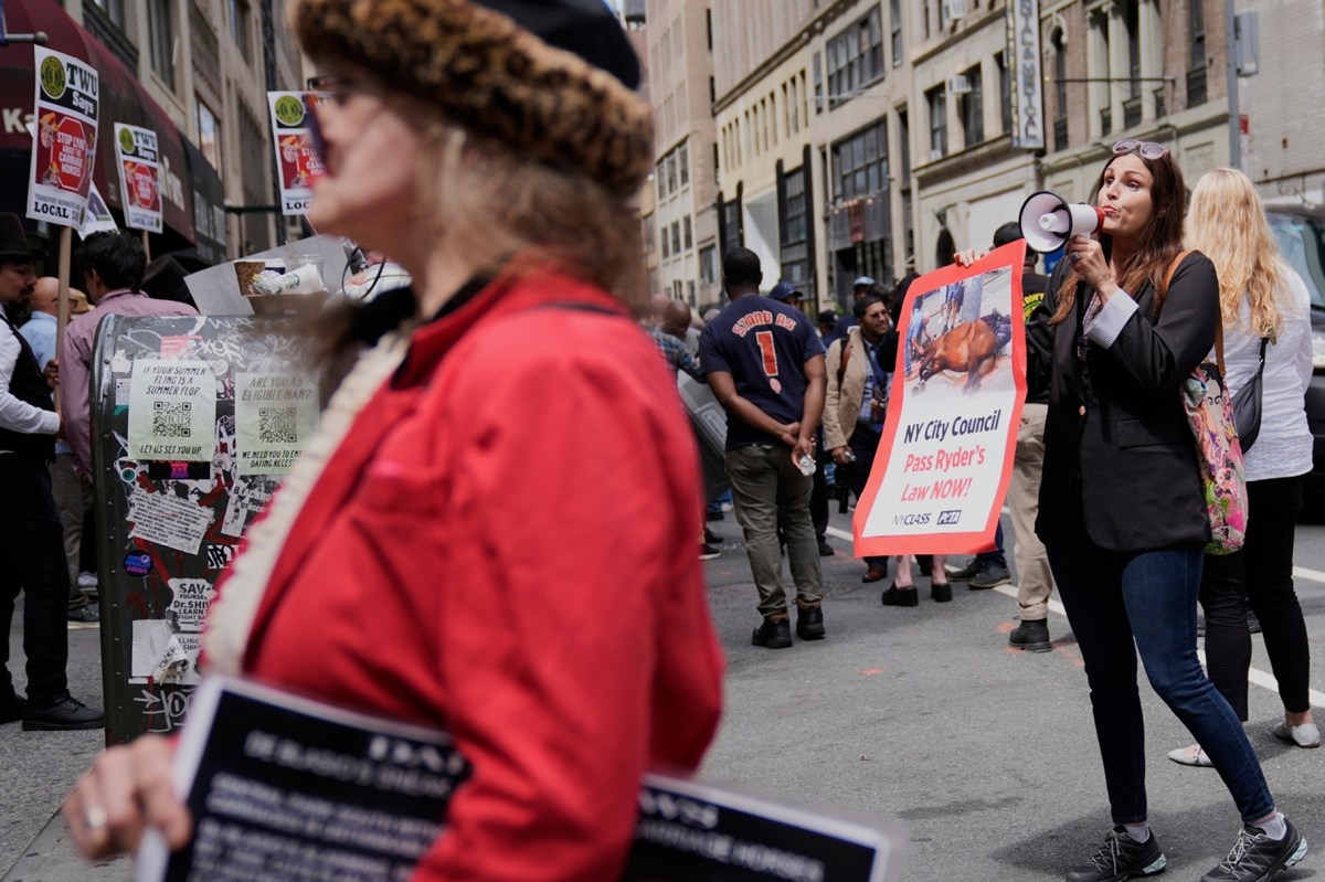 Sindicato de cocheros de Central Park demanda a defensores de animales por “difamación”