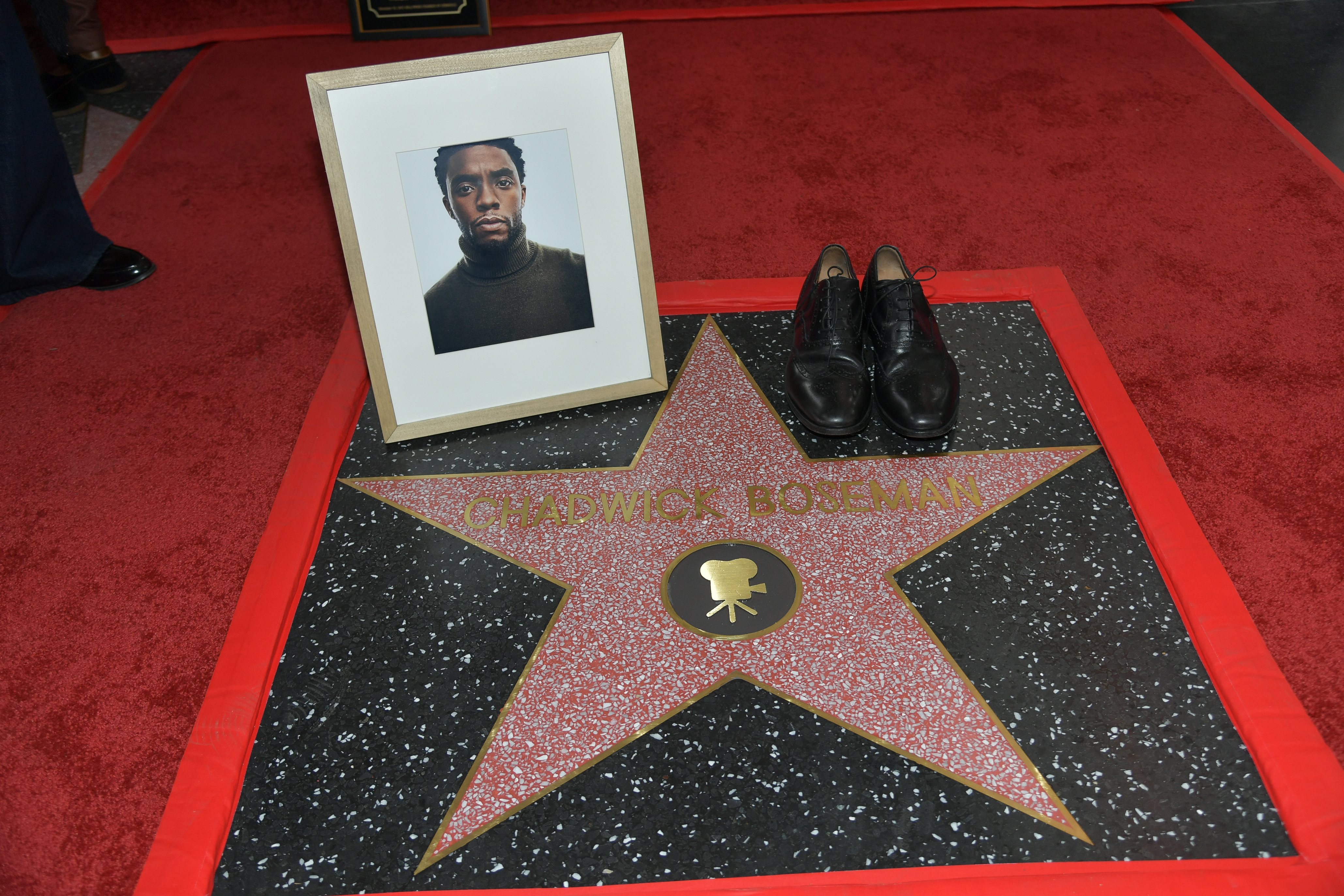 Chadwick Boseman recibe estrella póstuma en el Paseo de la Fama de Hollywood
