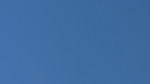 Los 8 demócratas que votaron para reabrir el gobierno y desataron molestia en su partido