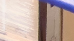 comprar-refrigerador-costco