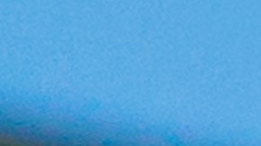 costco-membresia-60-dolares-fiestas