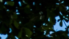 costco-promocion-black-friday