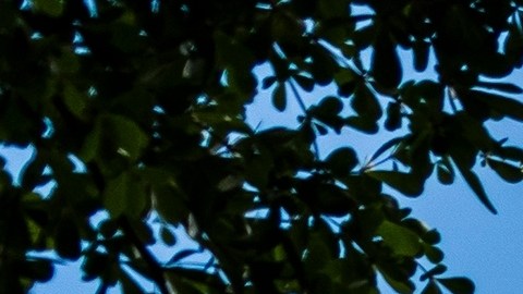 costco-promocion-black-friday