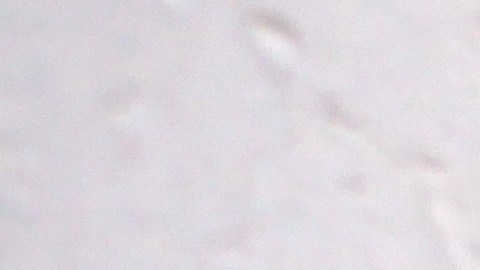 Si estás atento al calendario, podrías conseguir excelentes precios de Black Friday desde mediados de noviembre.