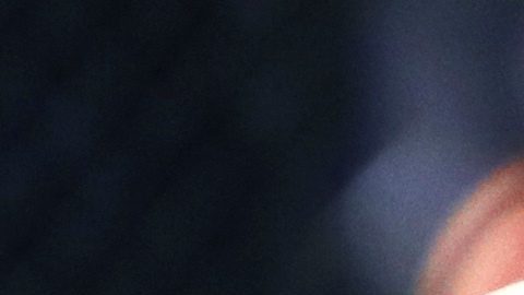 Dillon Danis, a la derecha, pelea contra Kyle Walker.