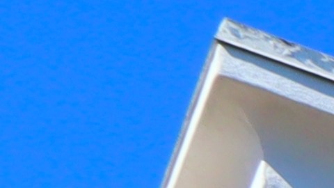 dollar-tree-incrementa-precios