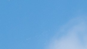 Pelea caótica en Domino’s de Nueva Jersey termina con un policía agredido